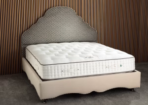 Enchanted House beds Queen Anne bed frame